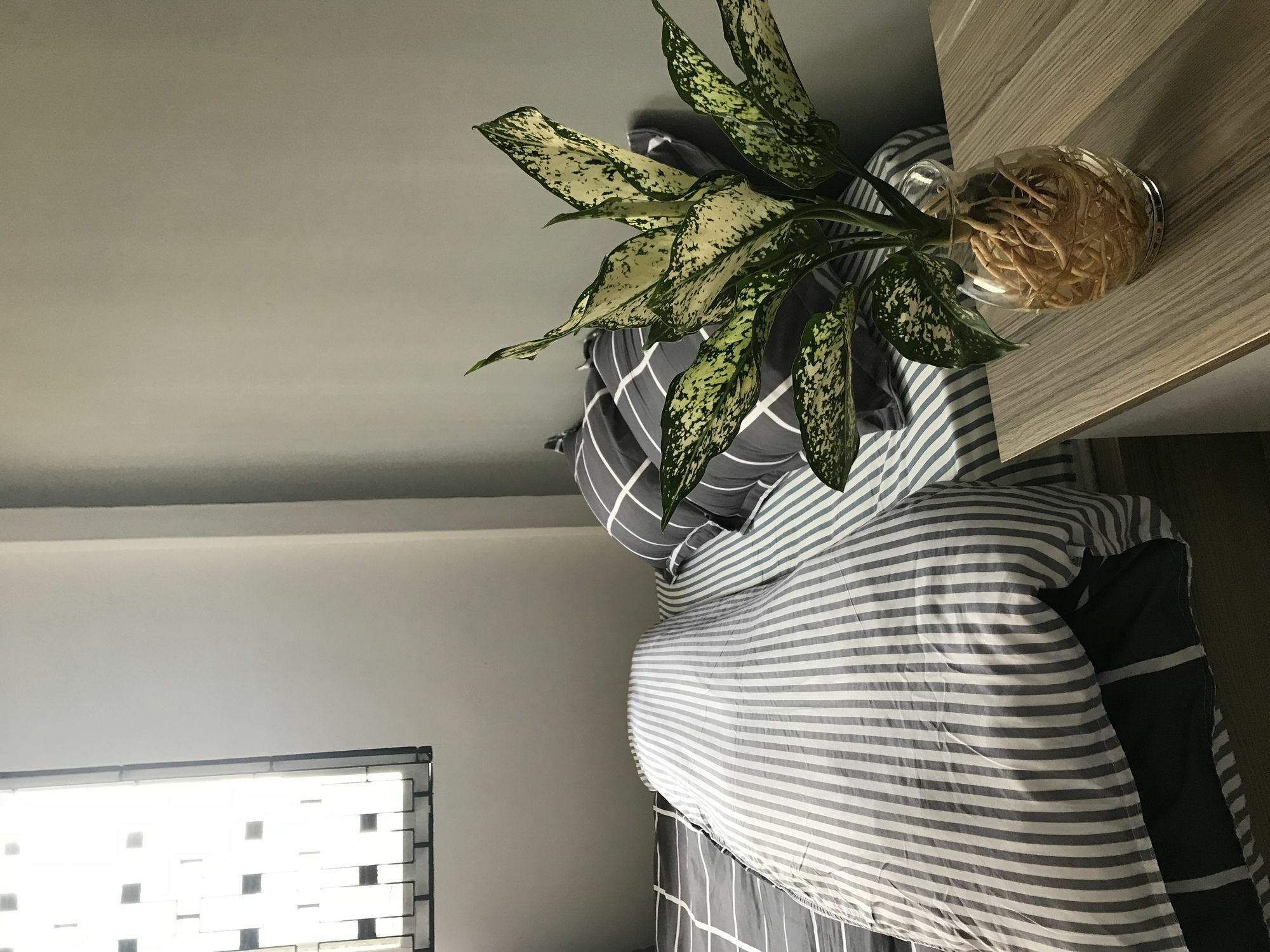 Meowies Homestay Hô Chi Minh-Ville Extérieur photo